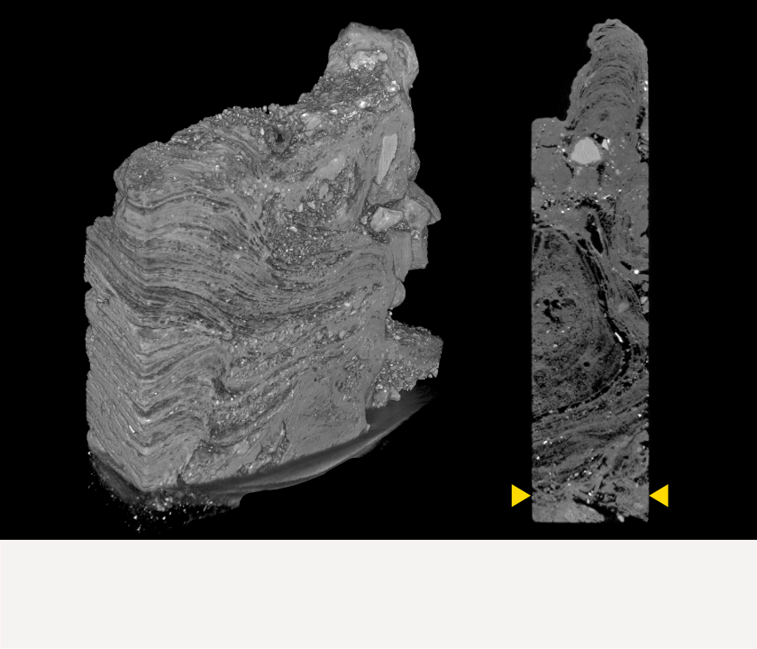 Volume reconstruction of silica sinter